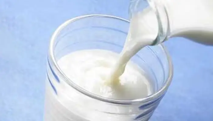 Dairy Companies Increase Milk Price: Is Heatwave to Blame for Price Hike of FMCGs?
