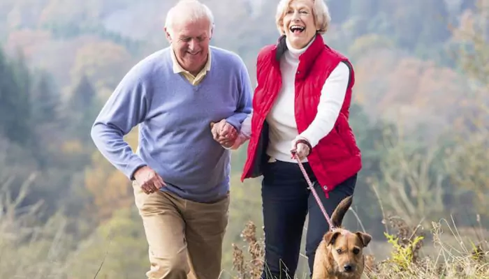 Finding the perfect pup: Dog breeds tailored for seniors