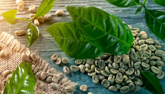 Green coffee beans: Slimming miracle or just beans about town?
