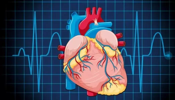 Heart Regeneration Breakthrough: How Shockwave Therapy Can Revolutionise Cardiac Care and Slash Healthcare Costs