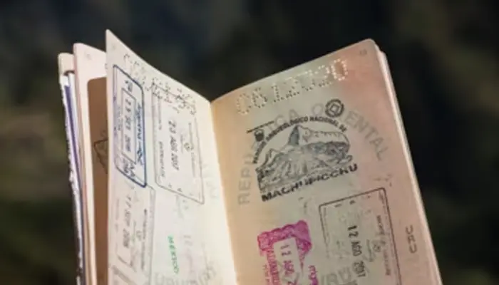 India's Position Weakens in Passport Index 2024: What are the Traits Top Passport Countries Have in Common?