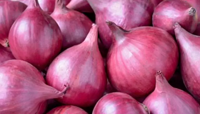 45000 Tonnes Onions Exported from India after Lifting Ban: Navigating the Growth of India's Export Market Amidst Rising Global Demand