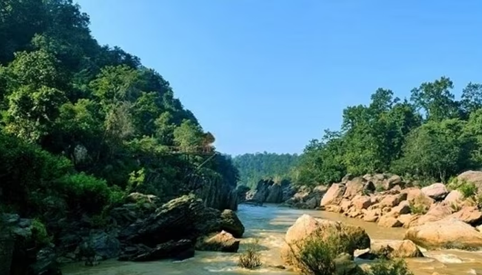 Gupteswar Forest In Odisha Declared A Biodiversity Heritage Site; What Does It Mean?